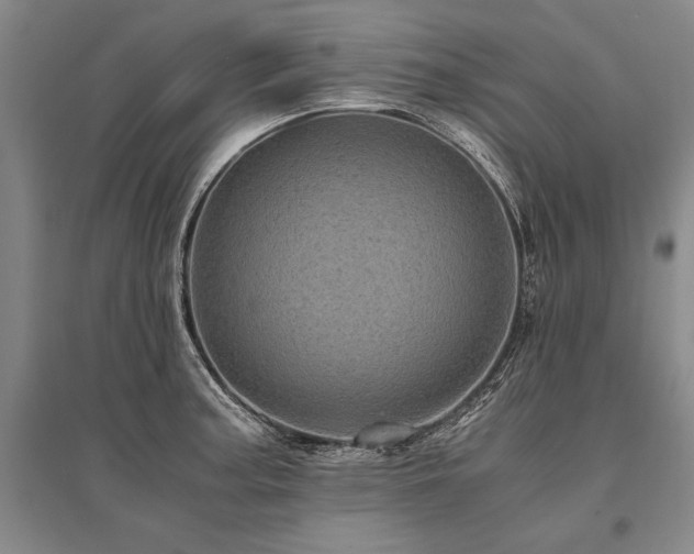 X0000095521187200712141439