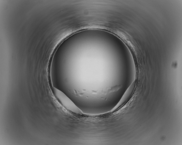 X0000095521189200712141439