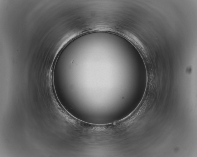 X0000095521190200712141439