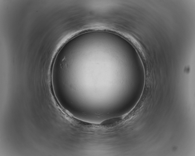 X0000095521191200712141439