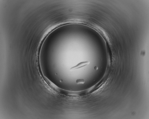 X0000095521192200712141439