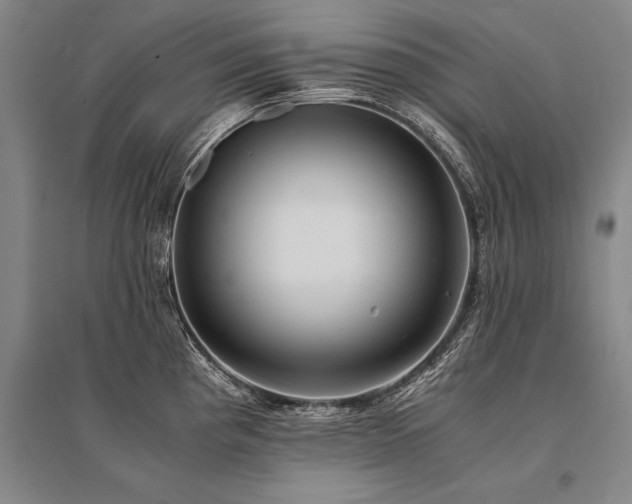 X0000095521193200712141439