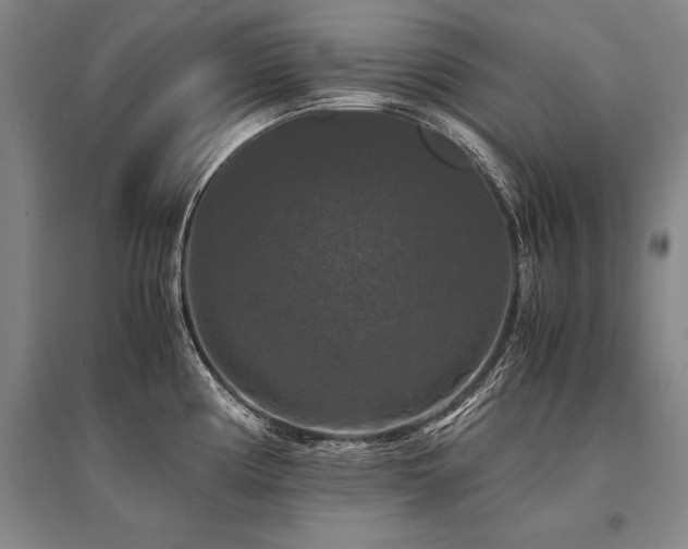 X0000095521194200712141439