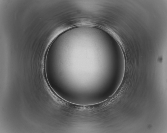 X0000095521195200712141439