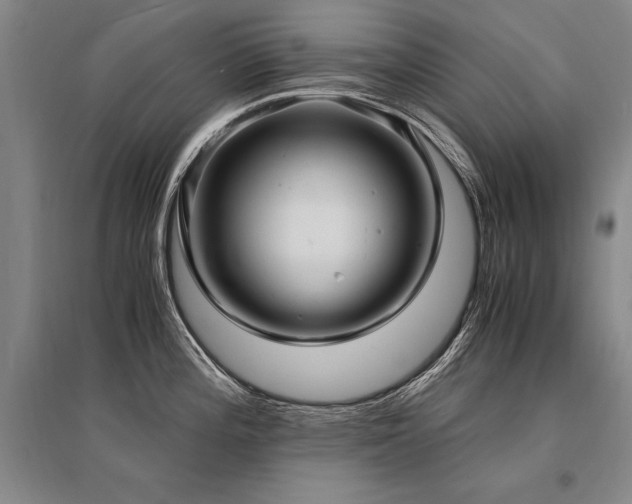 X0000095521196200712141439