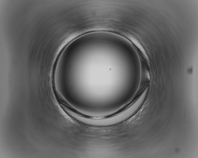 X0000095521197200712141439