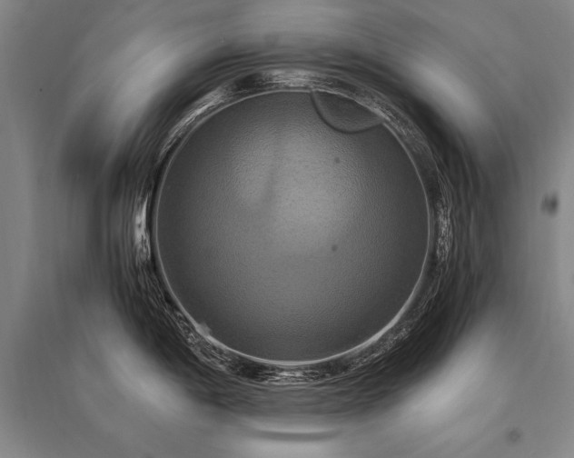 X0000095521198200712141439