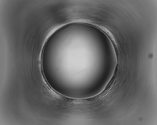 X0000095521199200712141439
