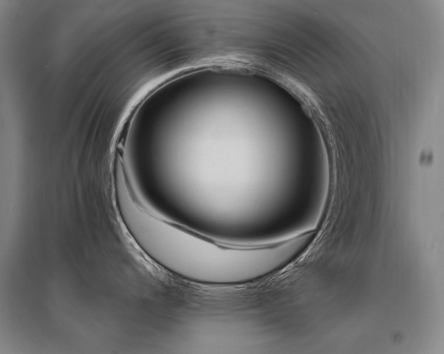 X0000095521200200712141439