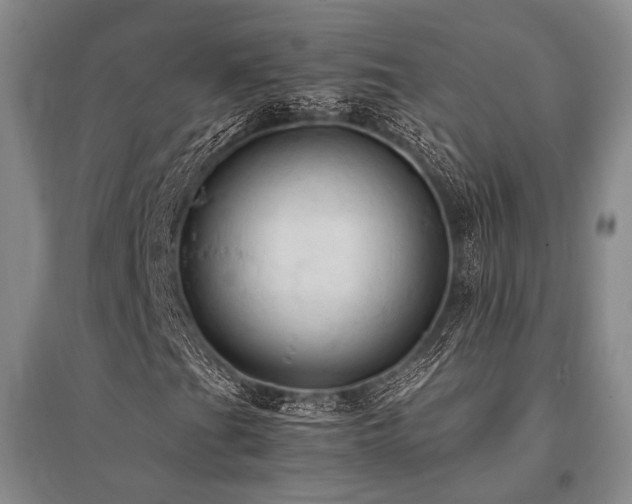 X0000095521201200712141438
