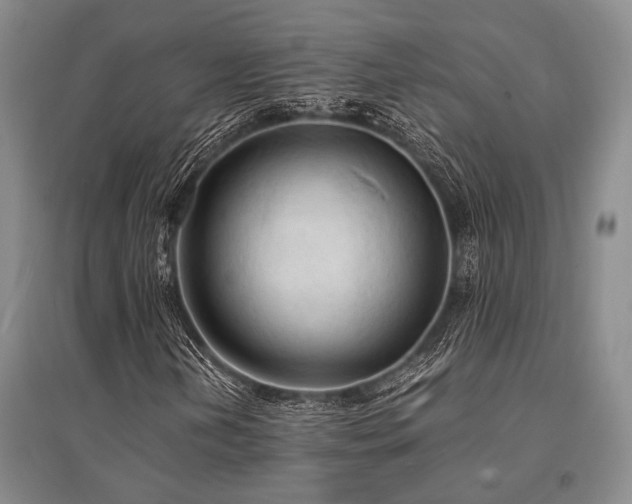 X0000095521202200712141438