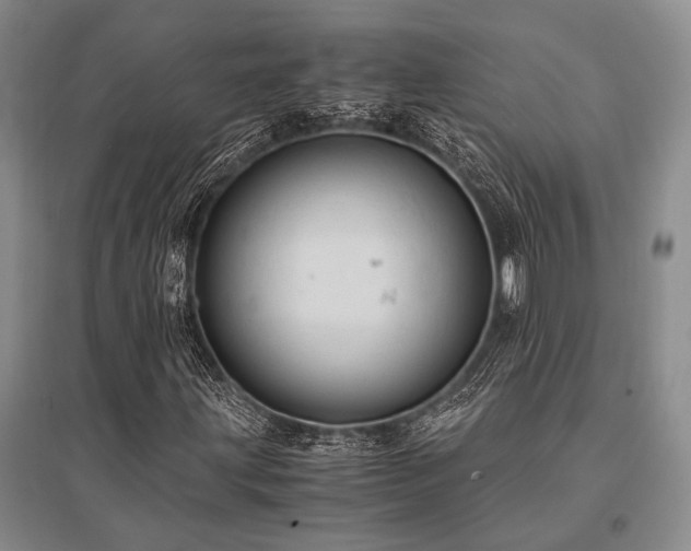 X0000095521203200712141438