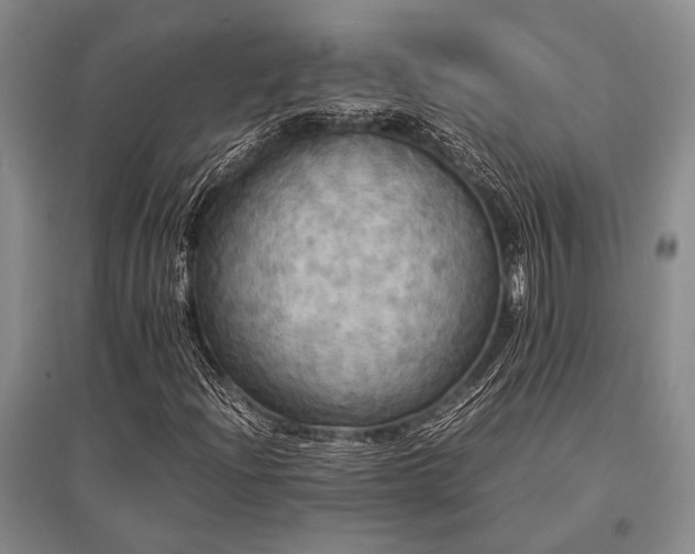 X0000095521204200712141438