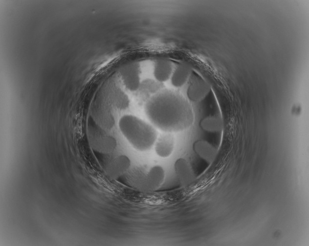 X0000095521205200712141438