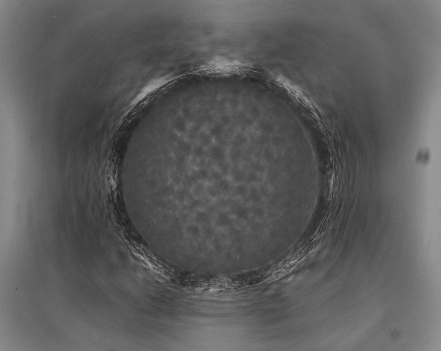 X0000095521206200712141438