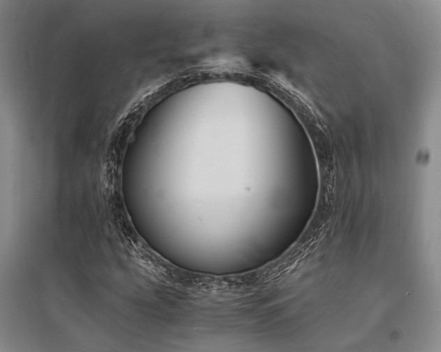X0000095521207200712141438