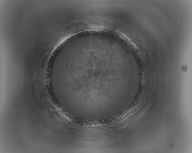 X0000095521208200712141438