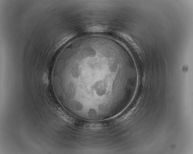 X0000095521209200712141438