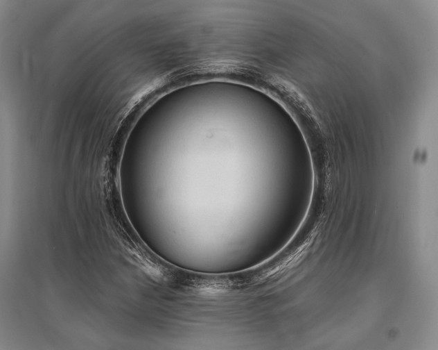 X0000095521210200712141438