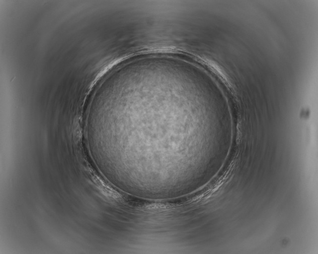 X0000095521212200712141438
