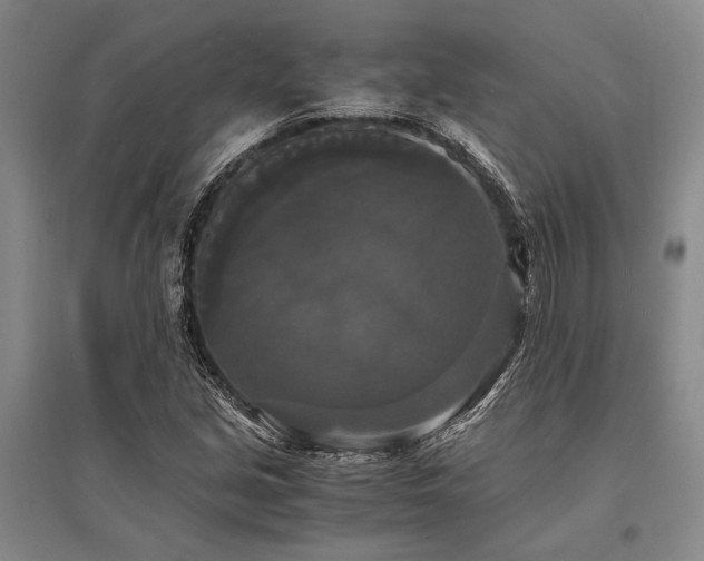 X0000095521213200712141439