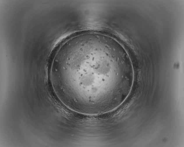 X0000095521214200712141439