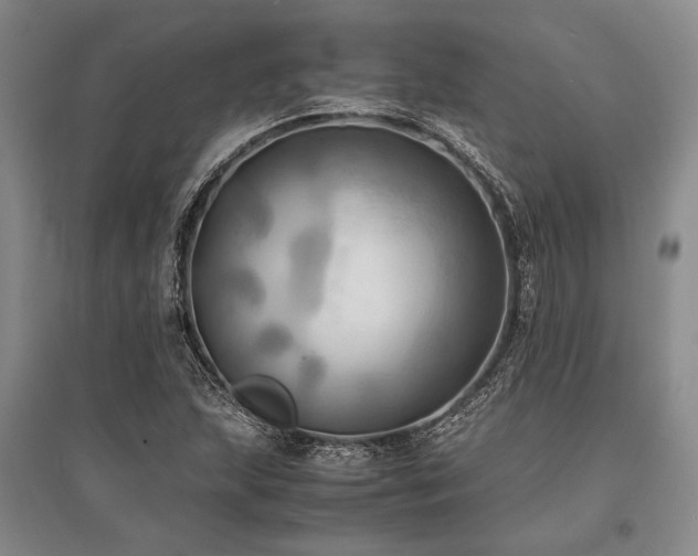 X0000095521215200712141439