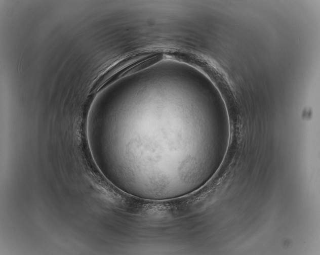 X0000095521217200712141439