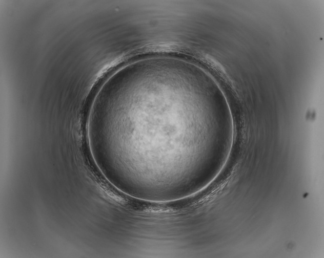 X0000095521218200712141439