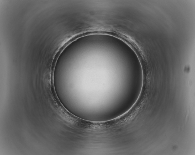 X0000095521220200712141439