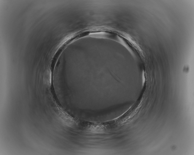 X0000095521221200712141439