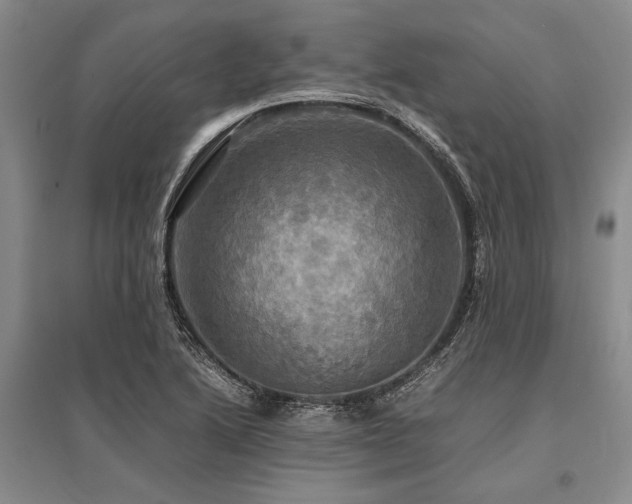 X0000095521222200712141439
