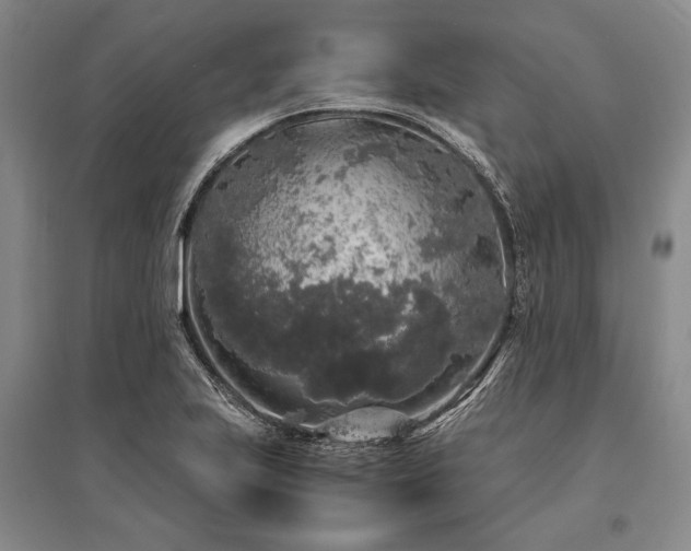 X0000095521223200712141439