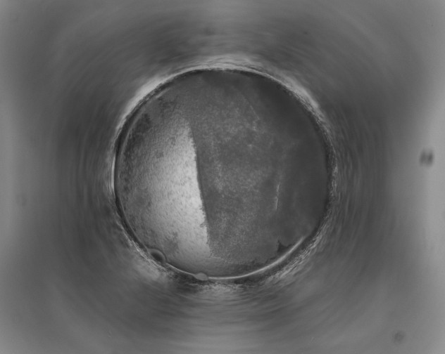 X0000095521224200712141439