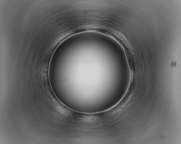 X0000095521225200712141439