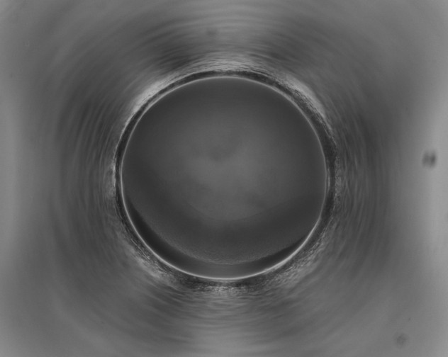 X0000095521226200712141439