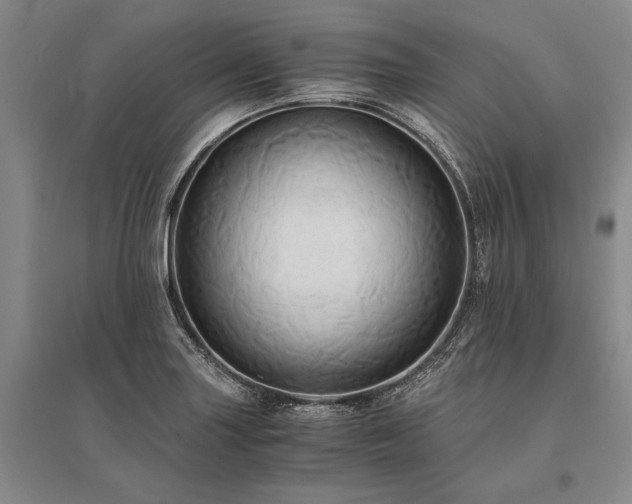X0000095521227200712141439