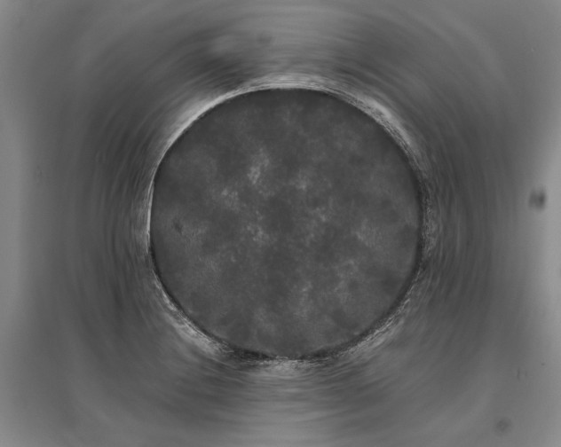X0000095521228200712141439
