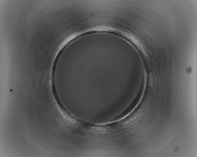X0000095521229200712141439