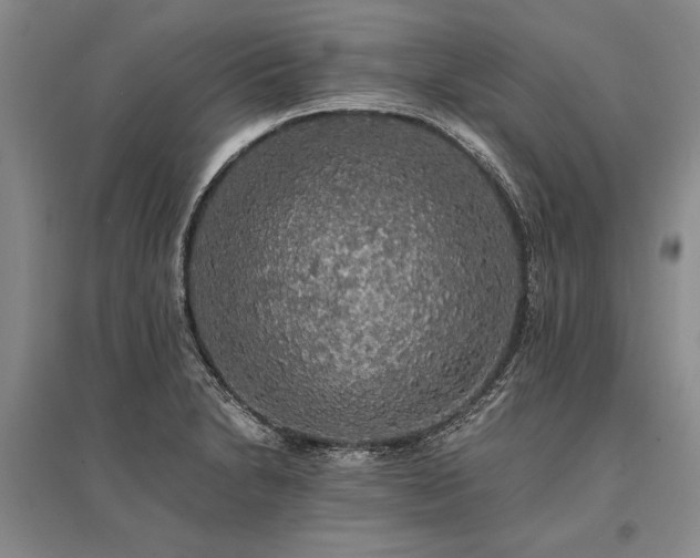 X0000095521230200712141439