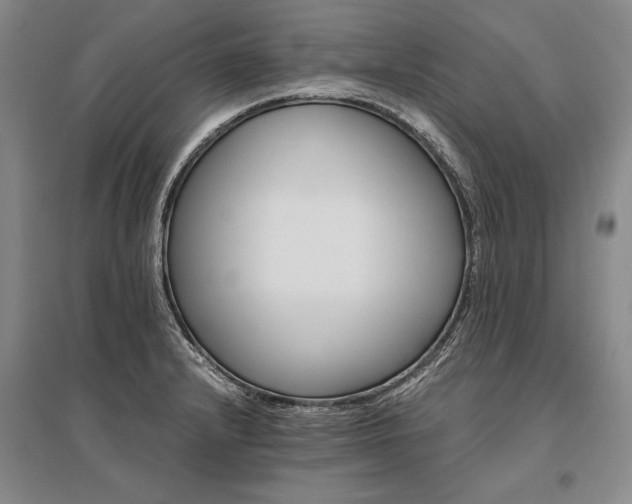 X0000095521232200712141439