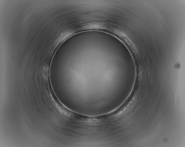 X0000095521233200712141439