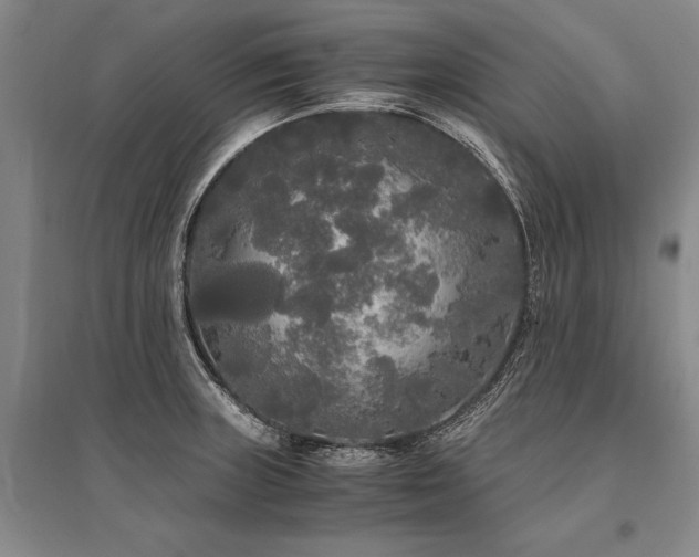 X0000095521235200712141439