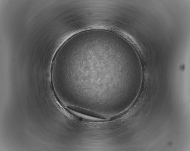 X0000095521236200712141439