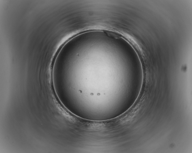 X0000095521238200712141439