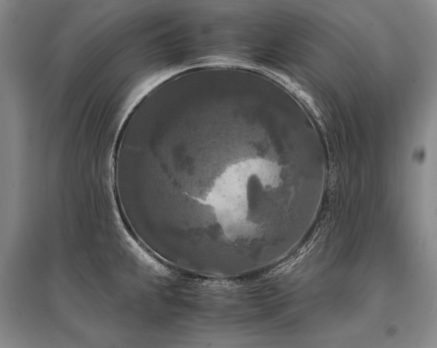 X0000095521239200712141439