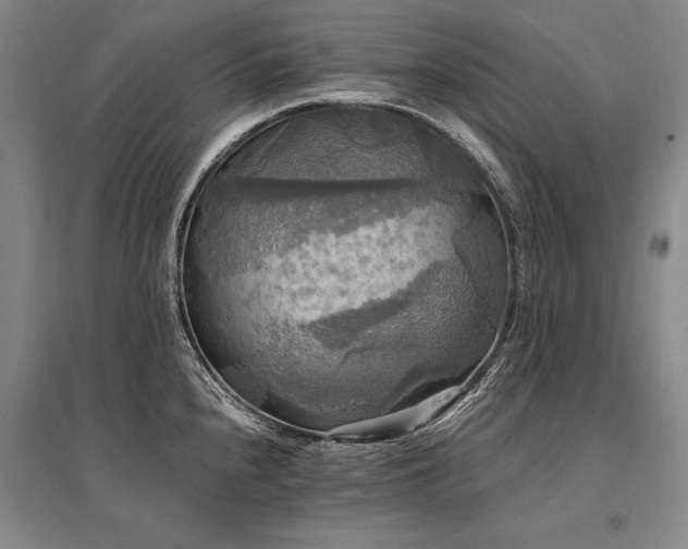 X0000095521240200712141439