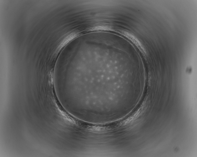 X0000095521241200712141439