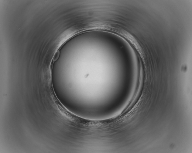 X0000095521242200712141439