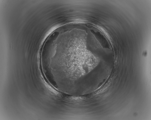 X0000095521243200712141439